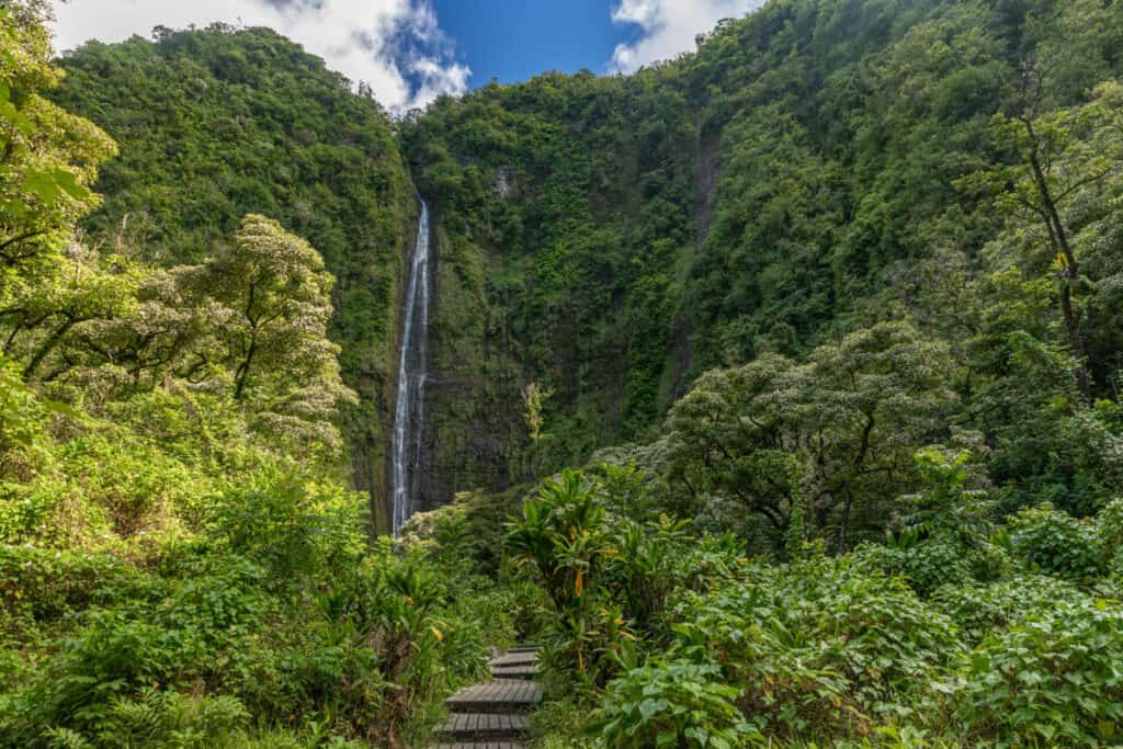 The Waimoku Falls are the payoff at the end of the Pipiwai Trail in Maui.