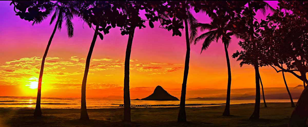 Most beautiful tropical Oahu sunset