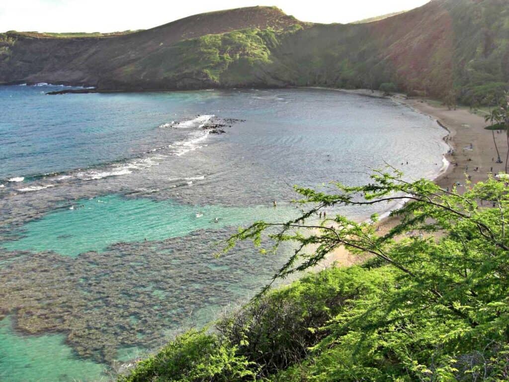 Hanauma Bay is one of the best spots for turtle snorkeling in Oahu