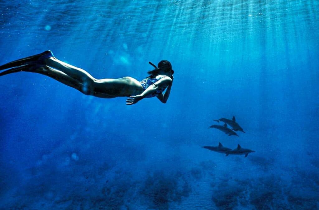 Swimming with wild Spinner Dolphins in Hawaii