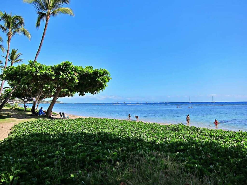 Beautiful Baby Beach near Lahaina, Maui, Hawaii, a sheltered snorkeling destination for kids and beginners