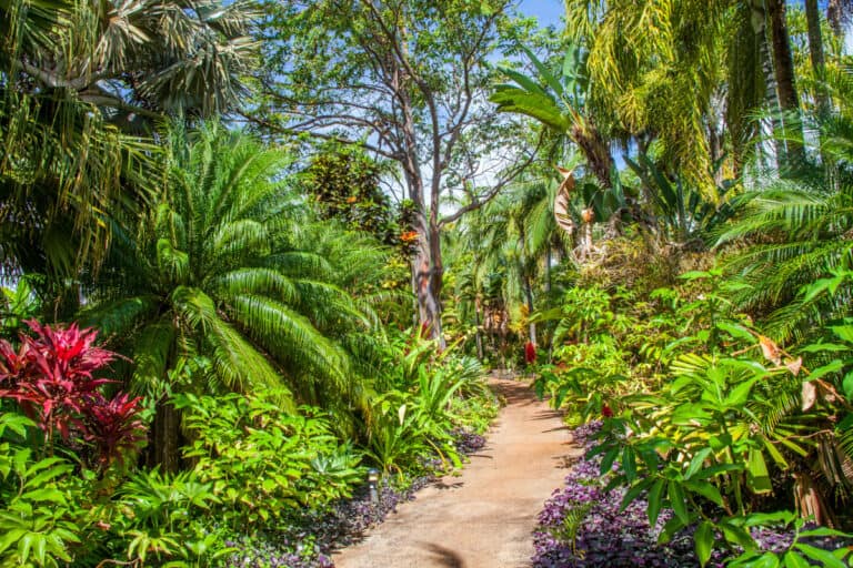 4 Amazing Kauai Botanical Gardens You Have to Visit!