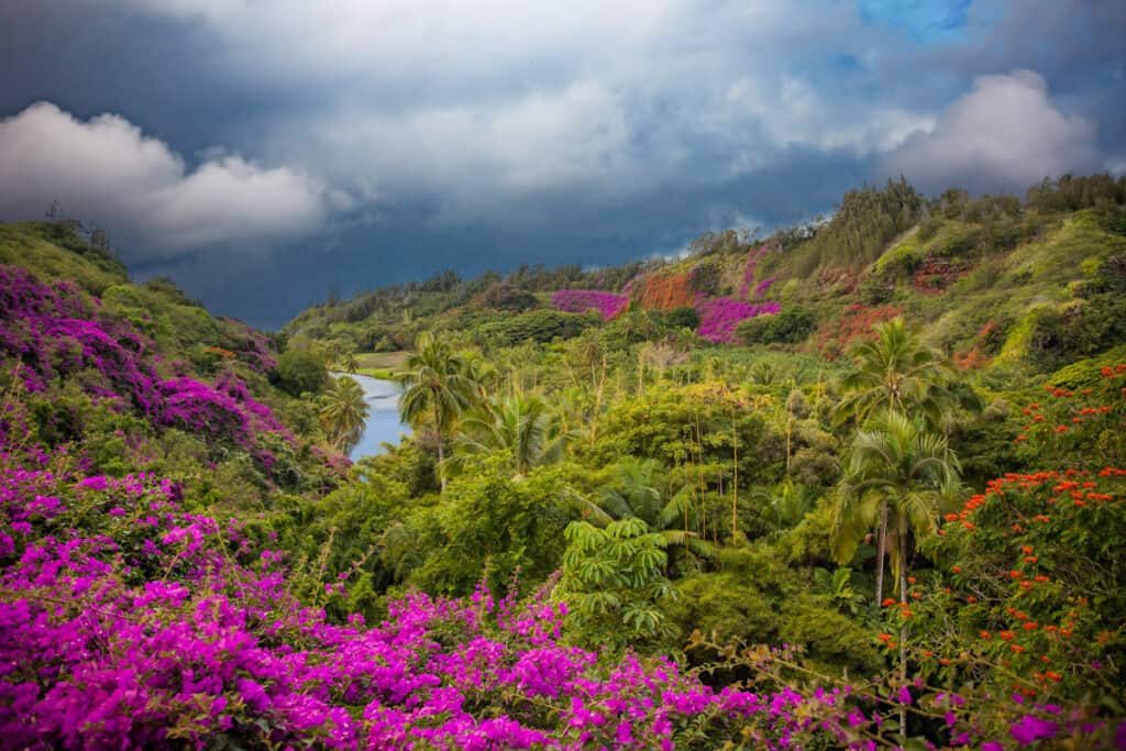 Botanical gardens in Kauai, Hawaii