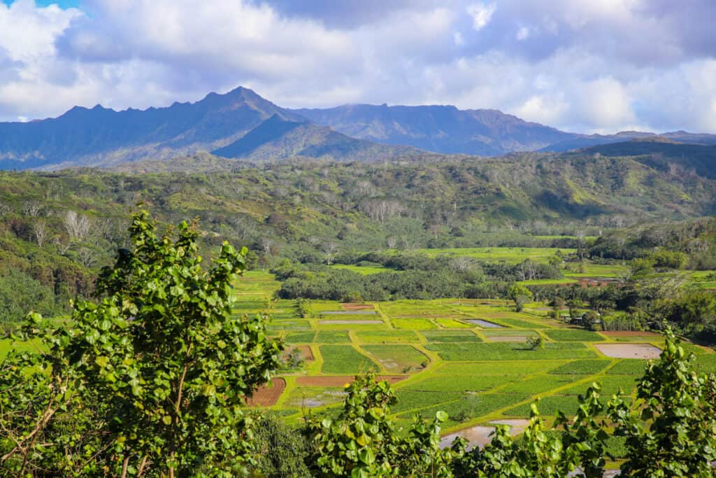 Stunning views from the Hanalei Valley Lookout near Hideaways Beach