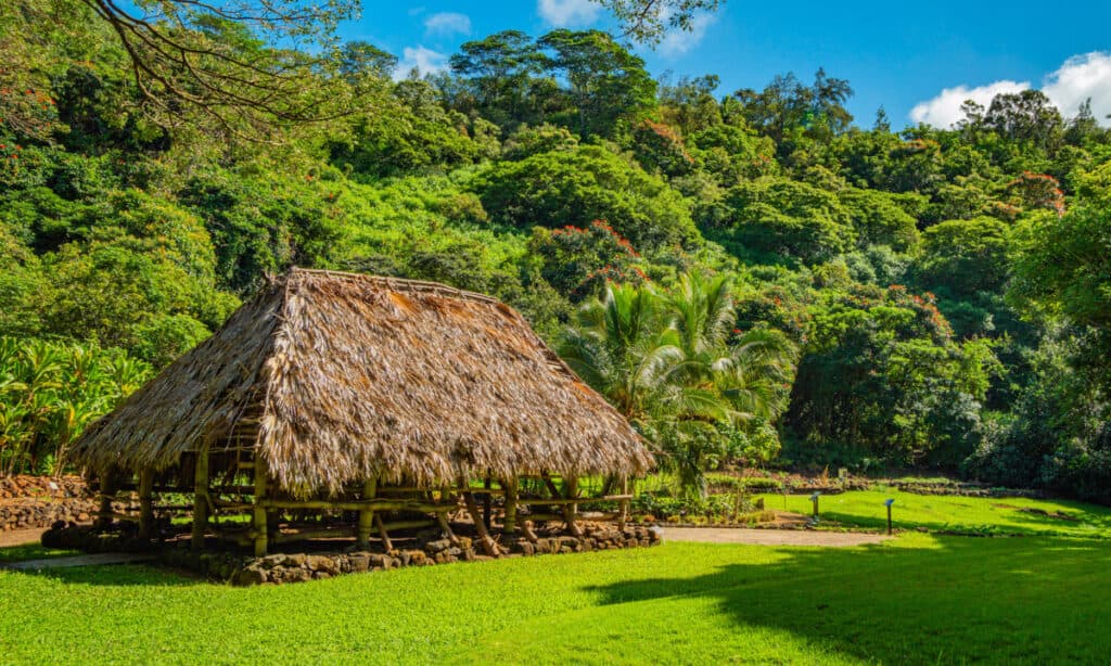 A thatched hut at the McBryde Botanical Garden in Kauai Hawaii