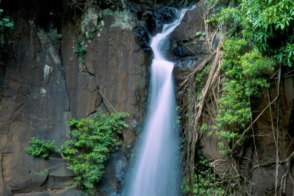 A waterfall at Allerton Garden in Kauai, HI
