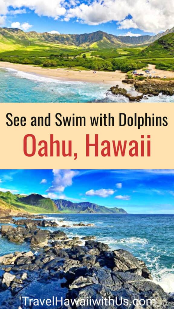 Discover the best places in Oahu to go dolphin spotting! See dolphins or swim with them for a memorable experience in Oahu, Hawaii.