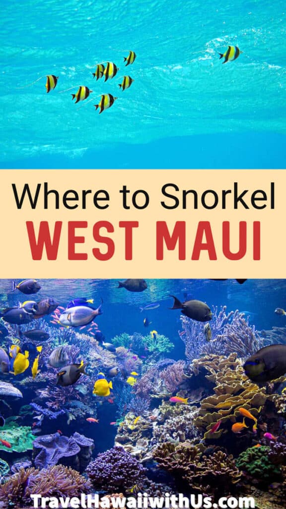 Discover the best places to go snorkeling in Lahaina and West Maui. Plus, the best tours and tips for a great experience!