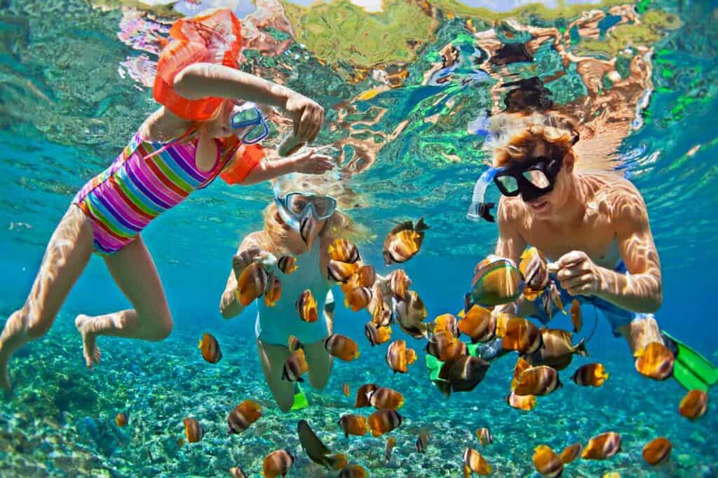 Family snorkeling in calm, tropical waters