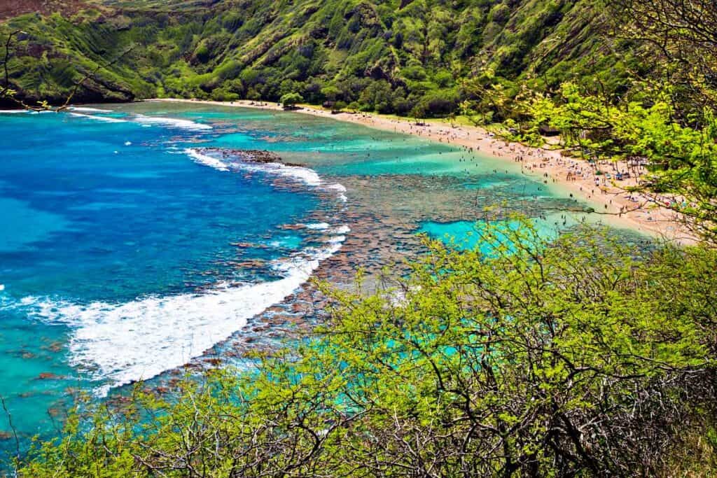 Snorkeling at the coral reef of Hanauma Bay, a former volcanic crater, now a national reserve