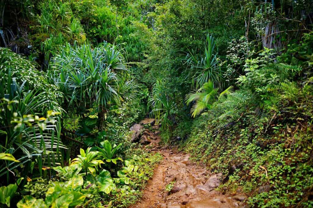 Hiking the Kalalau Trail in Kauai HI