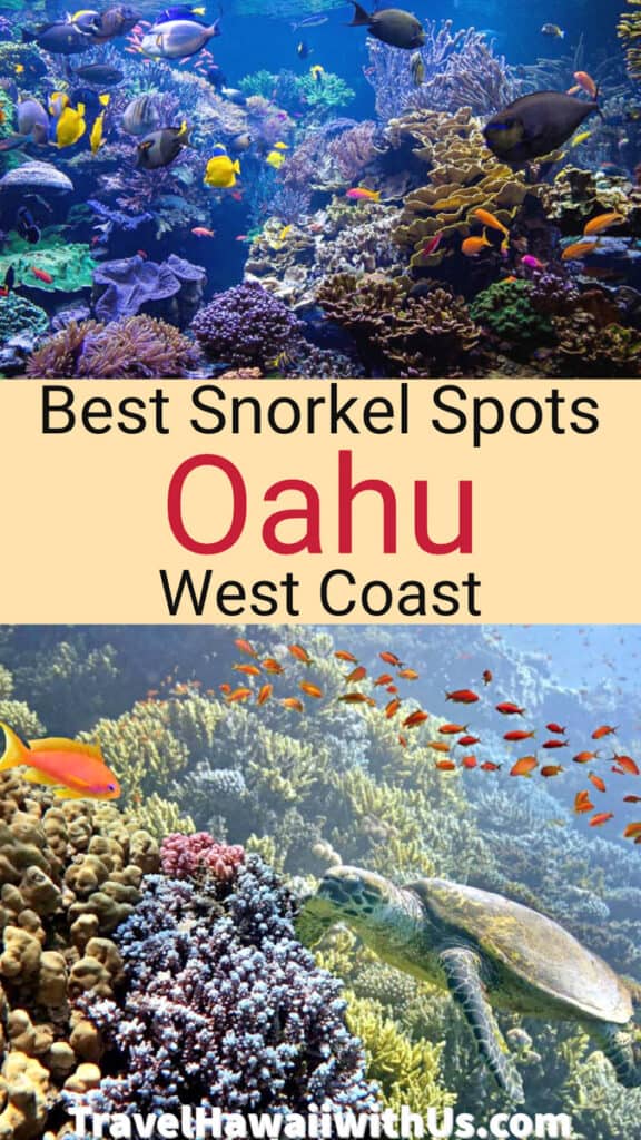 Discover the best spots for snorkeling along the pristine west coast of Oahu, Hawaii!