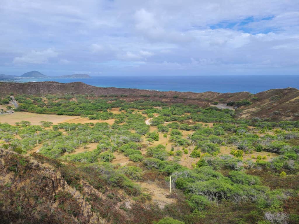 A view of the crater rim from the Diamond Head Summit Trail in Oahu