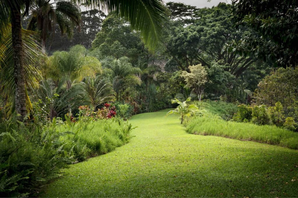 A view in the Garden of Eden Arboretum in Maui, Hawaii