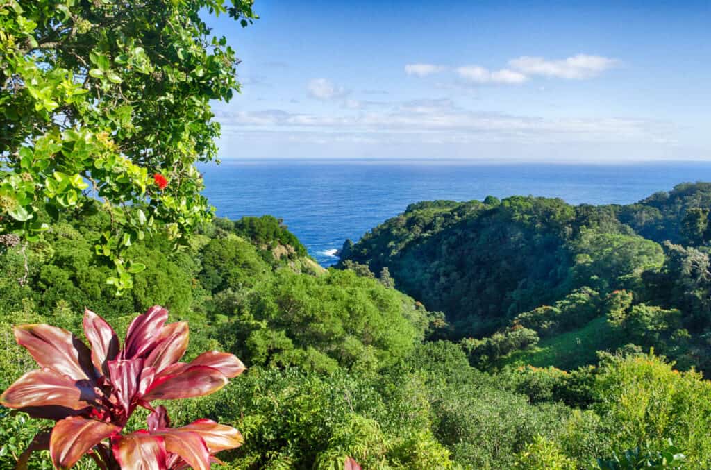 Ocean view at the Garden of Eden in Maui, HI