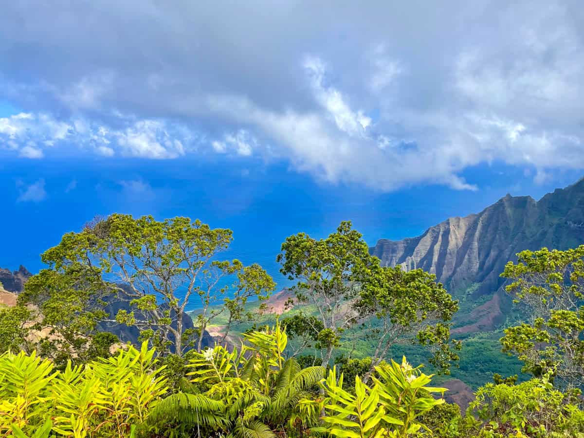 A lookout in Koke'e State Park, one of the best state parks in Kauai, Hawaii
