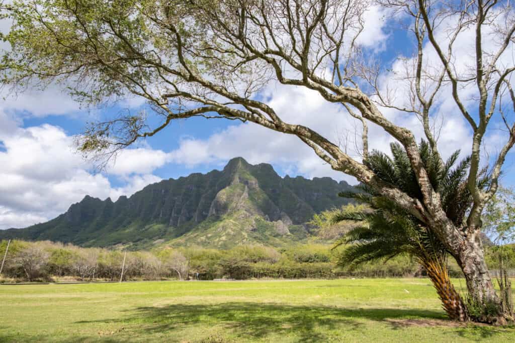 Landscape in Kualoa Ranch in Oahu Hawaii