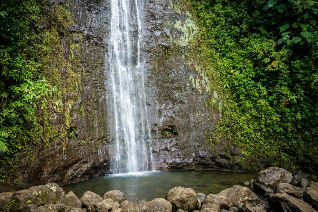 Swimming in the pool at the base of Manoa Falls is prohibited