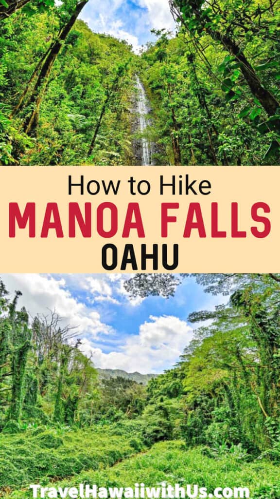 Discover trail information plus tips for hiking to the popular Manoa Falls, Oahu! This family-friendly hike is a must on Oahu.