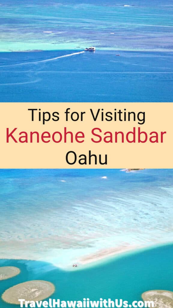 Discover how to visit the unique Kaneohe  Sandbar in Oahu, Hawaii, perfect for snorkeling!