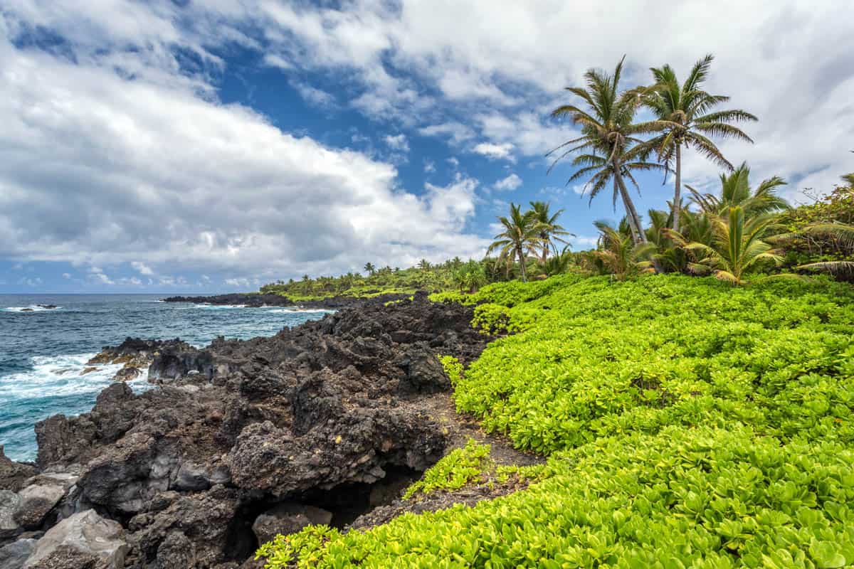Waianapanapa State Park is one of the best Road to Hana stops in Maui, Hawaii