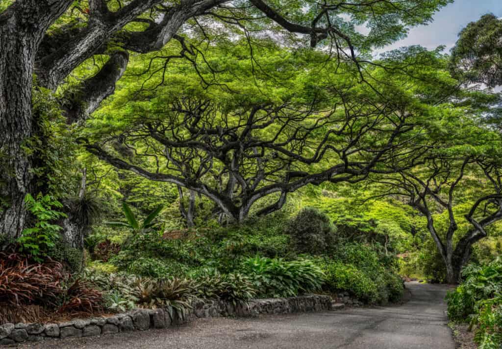 Waimea Falls Park in Oahu, Hawaii