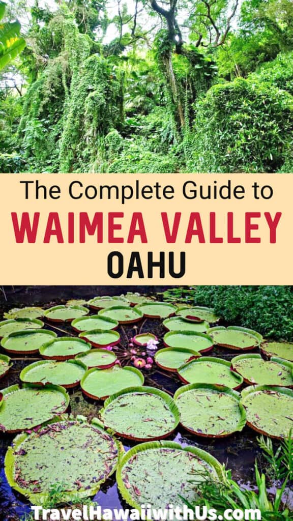 Discover the complete guide to visiting beautiful Waimea Valley on the north shore of Oahu, Hawaii! Gardens, waterfall, plus one of the best luaus on Oahu!