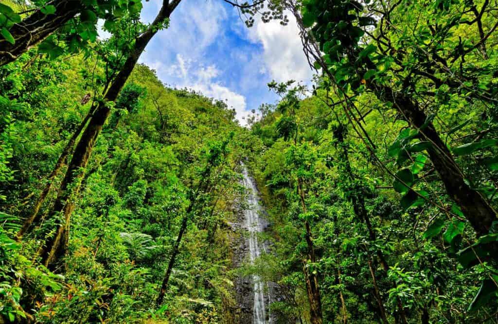 150-foot Manoa Falls, one of the best waterfalls in Oahu, Hawaii