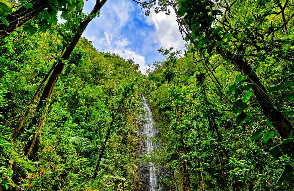 Hawaii to remove forbidden staircase due to 'rampant trespassing