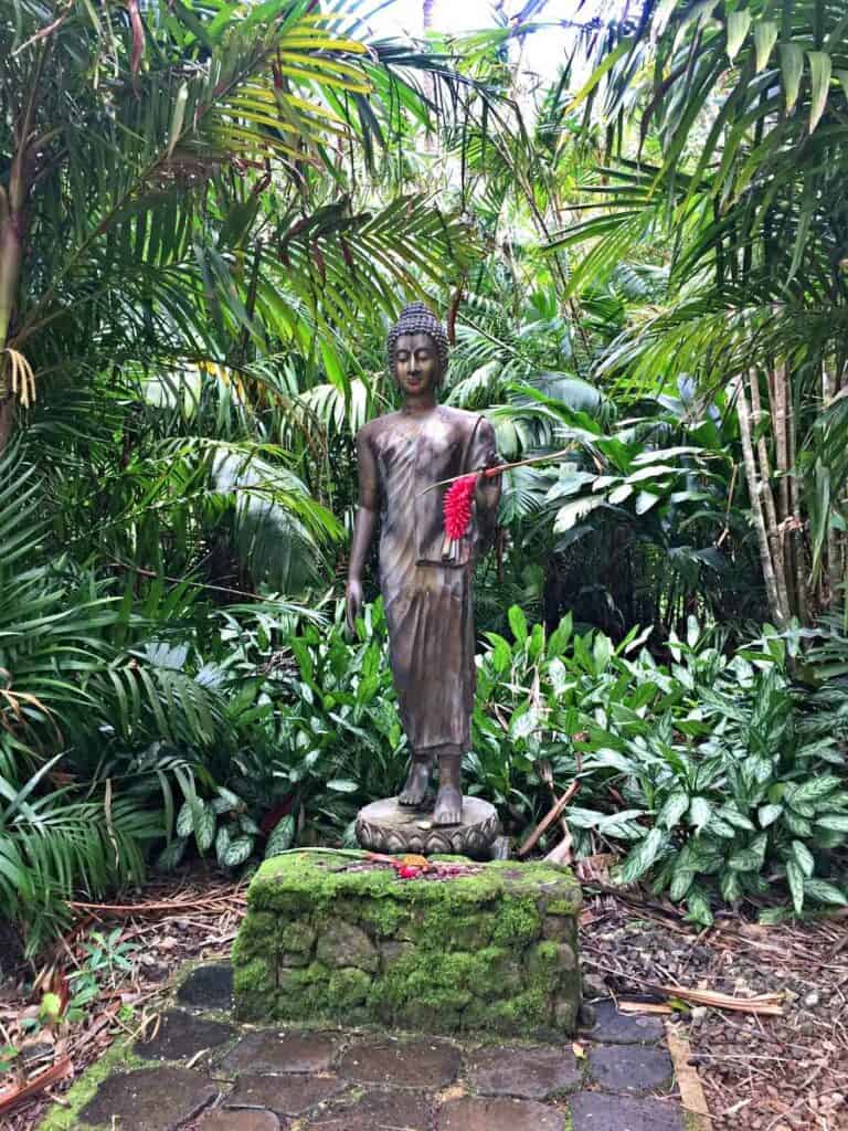 Buddha statue in Lyon Arboretum near Manoa Falls