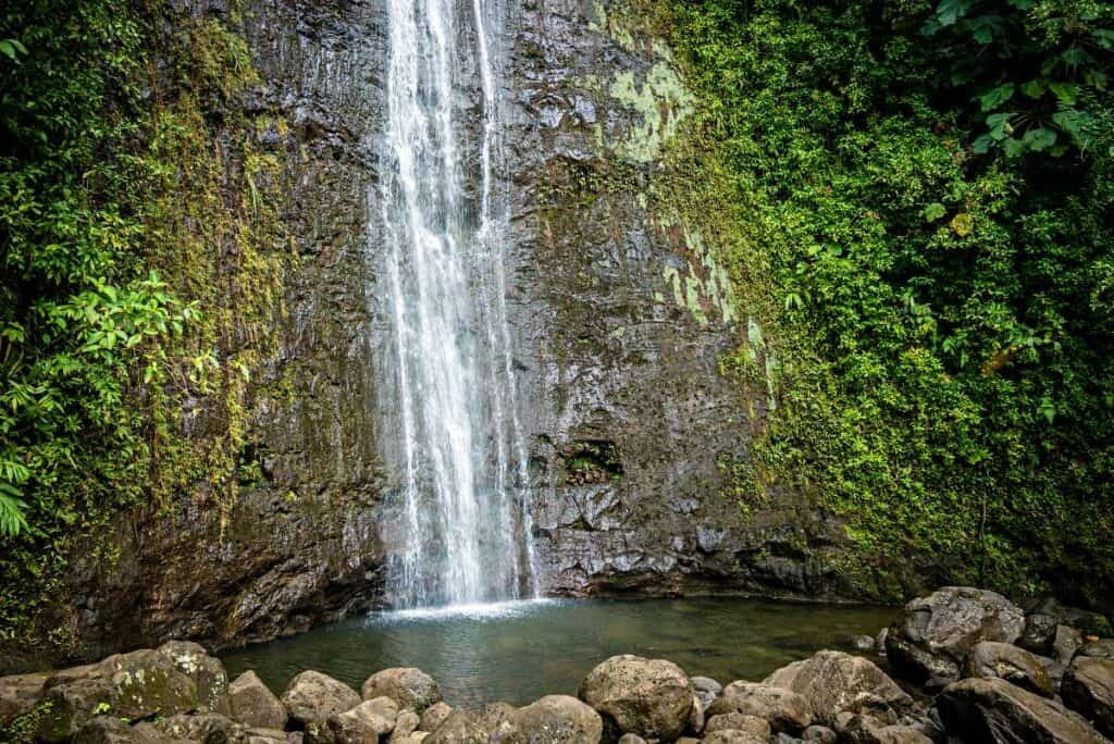 Manoa Falls, Oahu, Hawaii