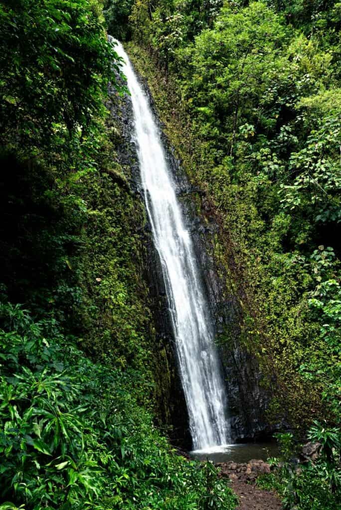 Manoa Falls Oahu, a stunning waterfall in a beautiful rainforest