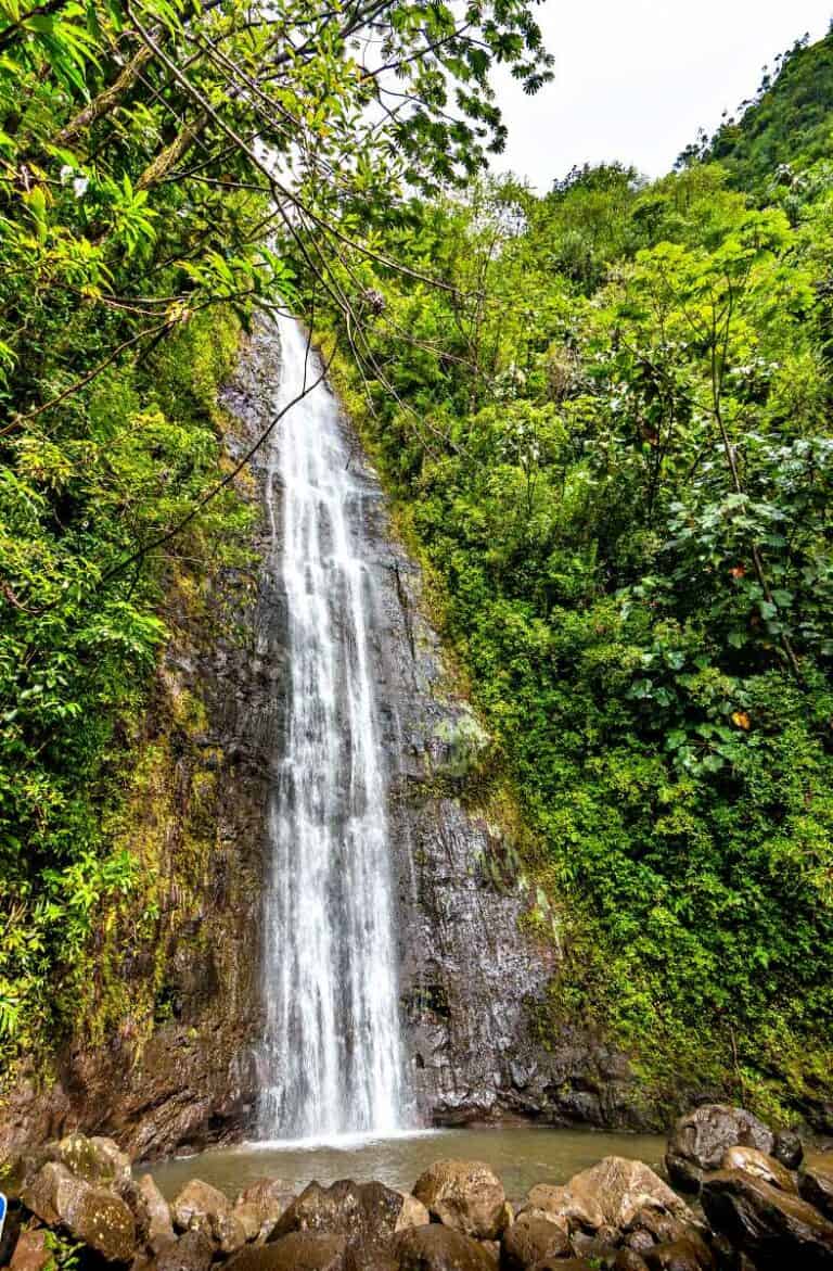 Manoa Falls Trail Hike, Honolulu, Oahu, HI – 2024 Guide