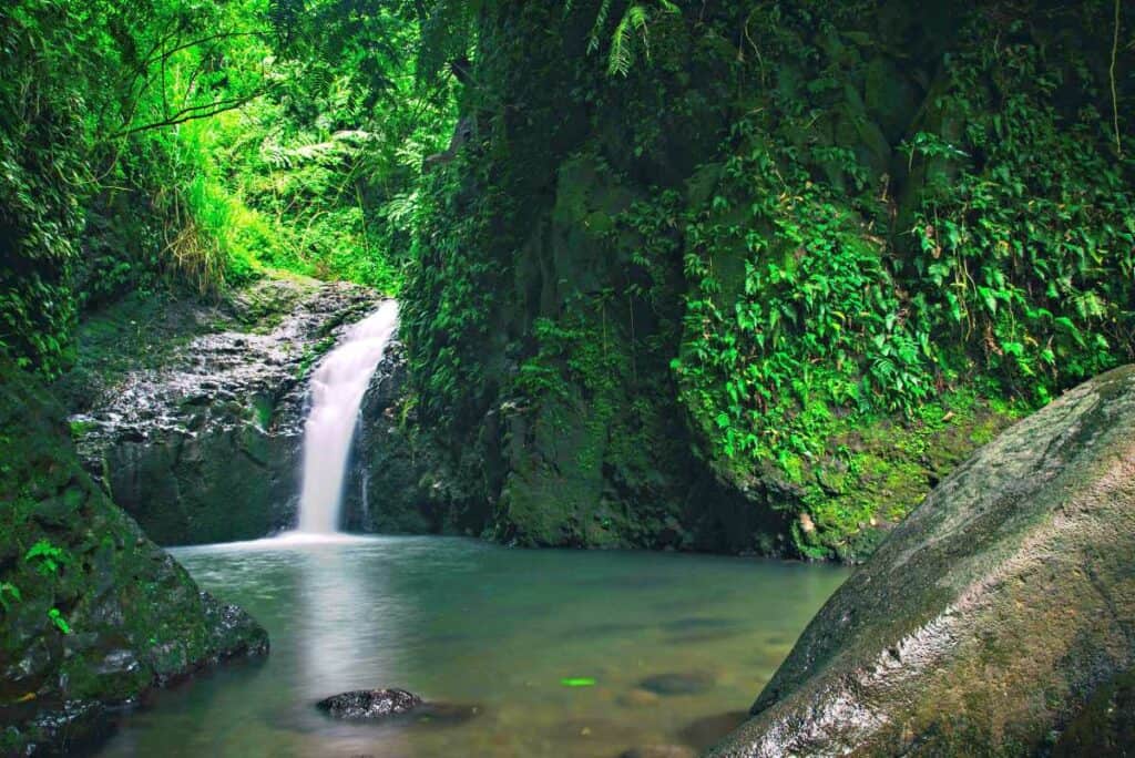 Beautiful Maunawili Falls in stunning tropical jungle setting!