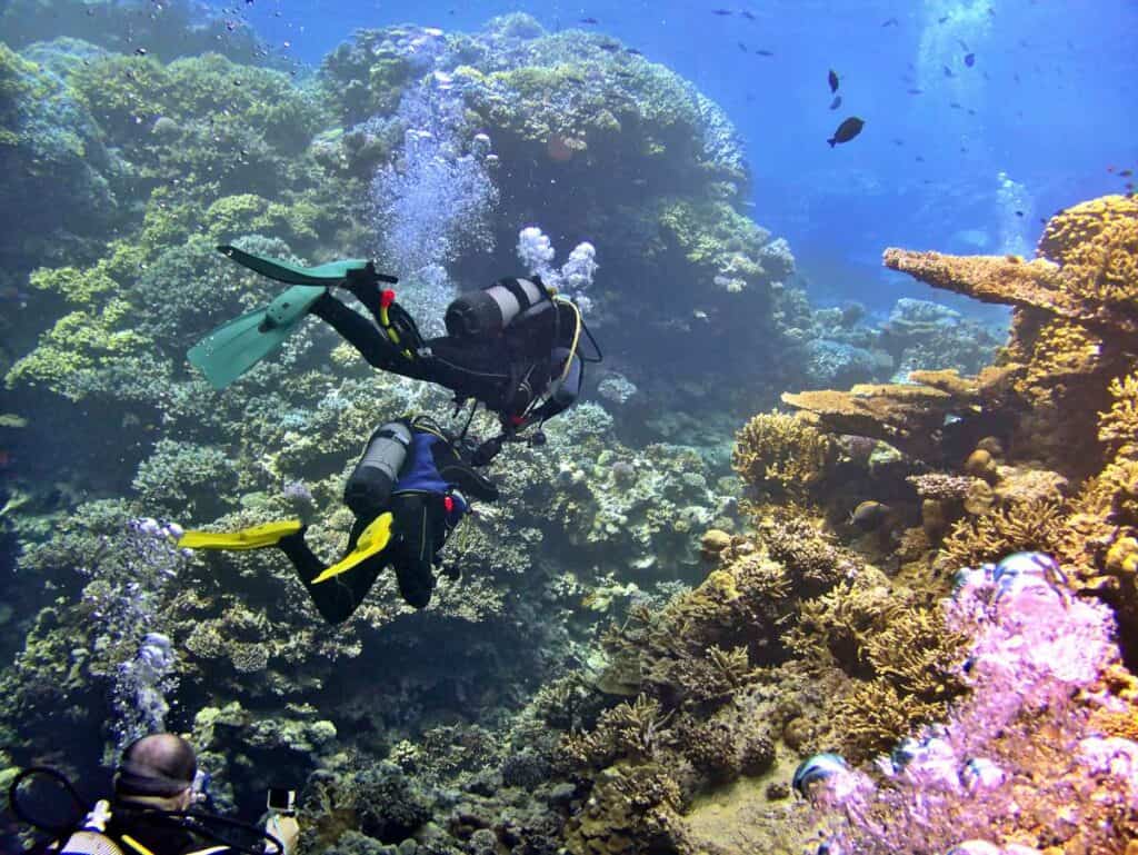 Scuba divers exploring the coral reefs near Ka'anapali Beach, Maui