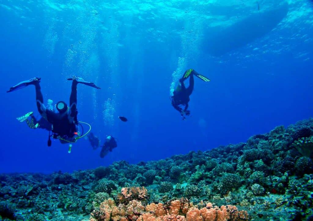 Scuba divers exploring the coral reef