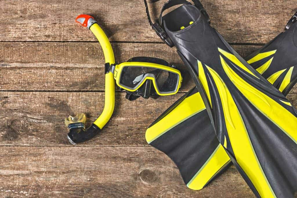 Basic snorkeling equipment: mask, snorkel, fins