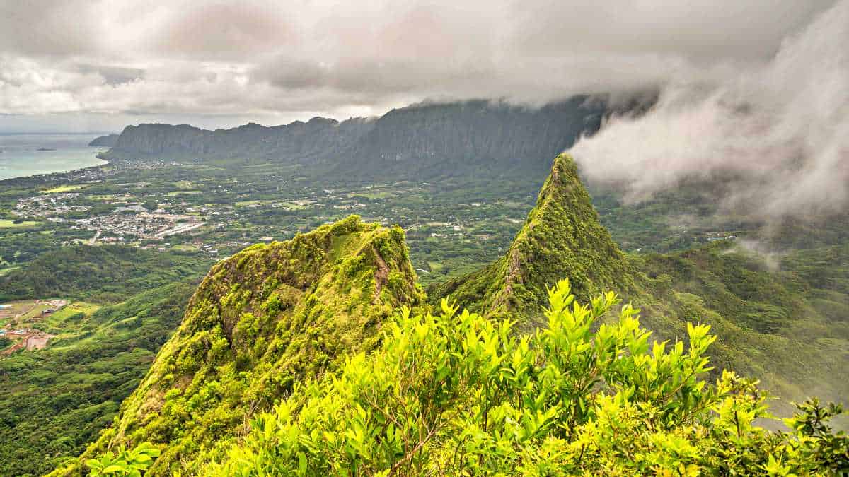 Into the clouds on the Three Peaks Trail, Oahu, Hawaii