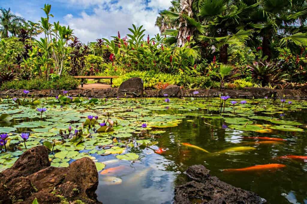 Waimea Valley park on Oahu island, stunning botanical garden