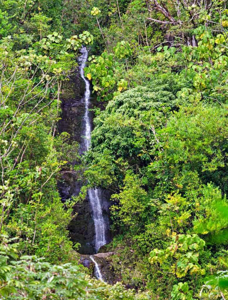 Manoa Falls, a 150-foot waterfall, one of the tallest waterfalls in Oahu