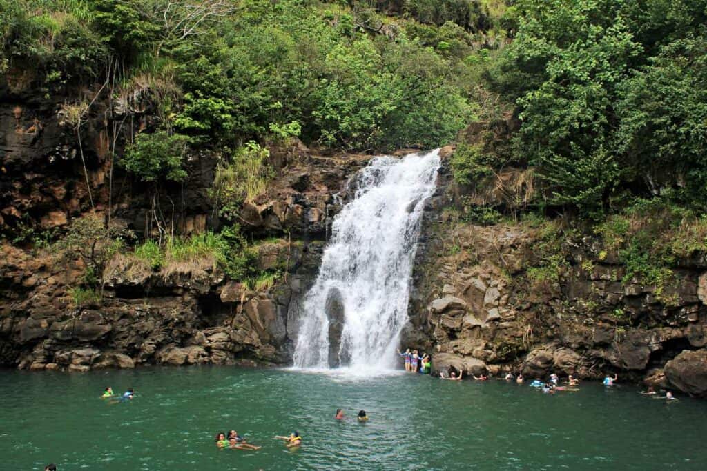 Waimea Falls pool, excellent spot for family fun with life jackets and life guards