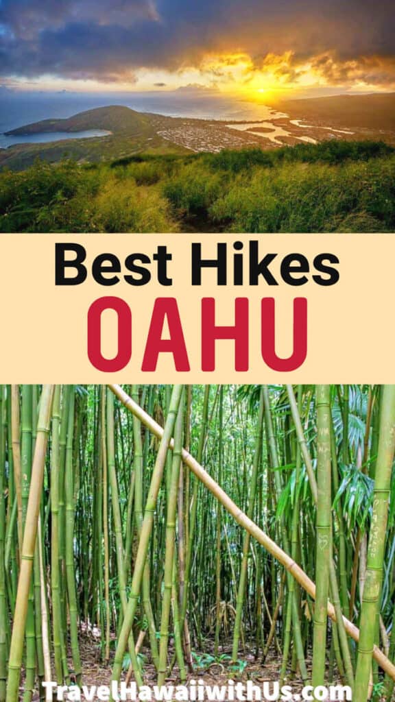 Discover the must-do hikes in Oahu, from easy trails like Manoa Falls and Makapu'u Lighthouse to challenging hikes like Koko Head!