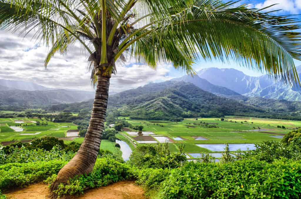 Hanalei Valley in Kauai Hawaii