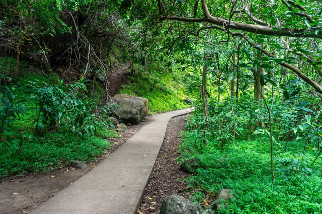Trail in Iao Valley State Monument in Maui, Hawaii