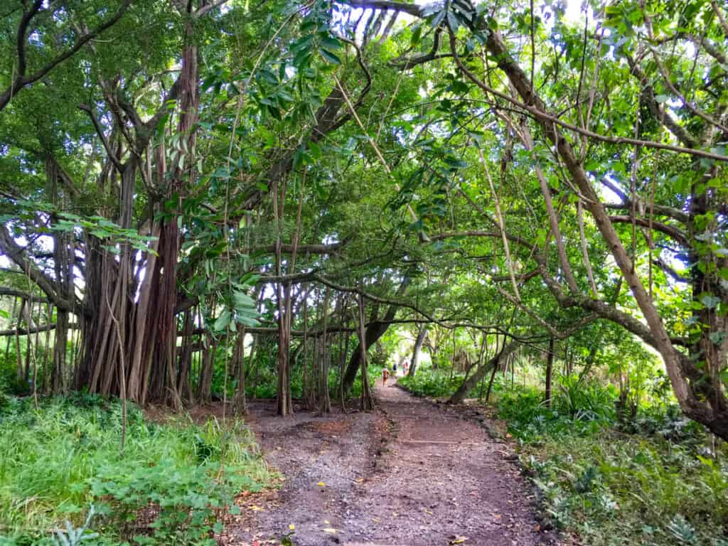 Kuloa Trail Oheo Gulch Maui