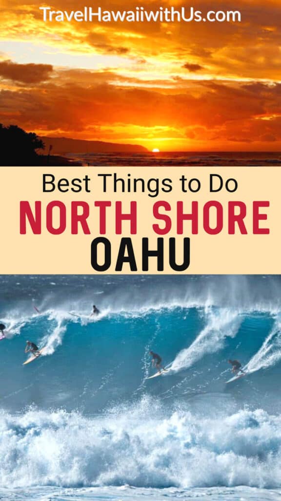 Discover the most fun things to do on the North Shore of Oahu, Hawaii! Take surf lessons, go shark cage diving, hike, and more!