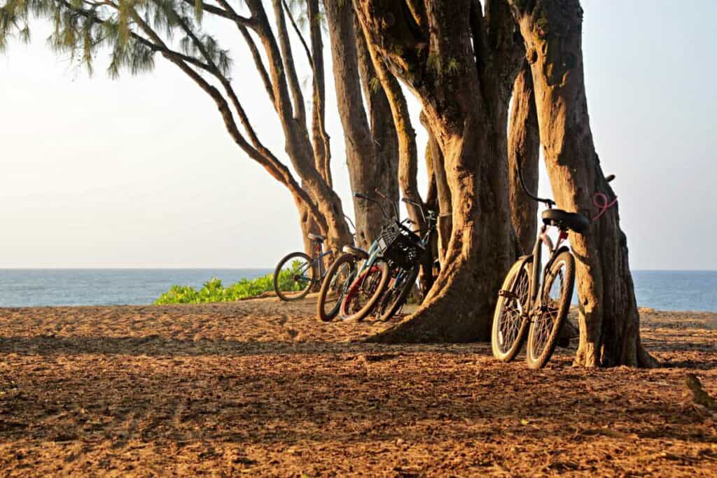 Exploring the scenic North Shore of Oahu on bikes