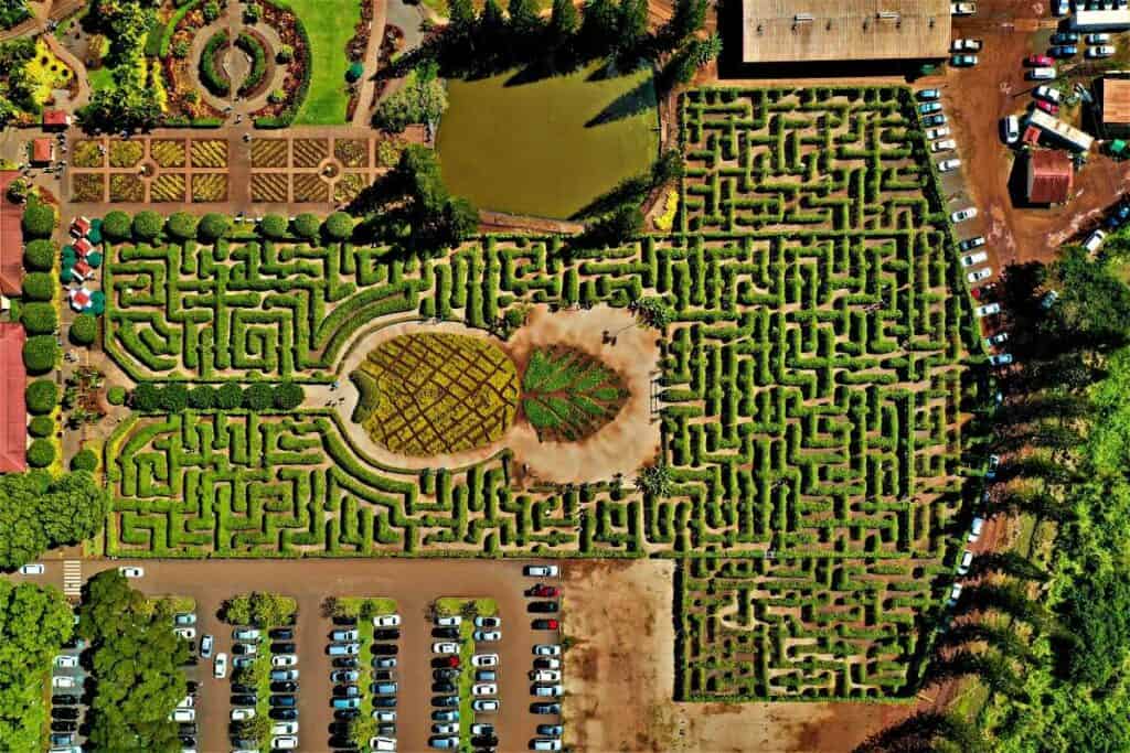 Dole Plantation Pineapple Maze, world's largest maze