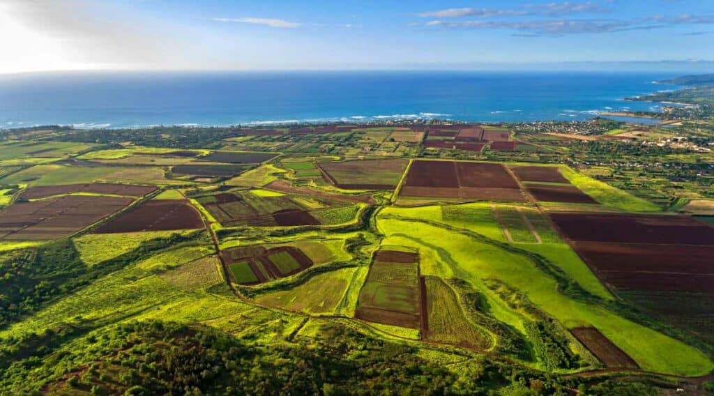 Farms along the coast of the north shore of Oahu Hawaii