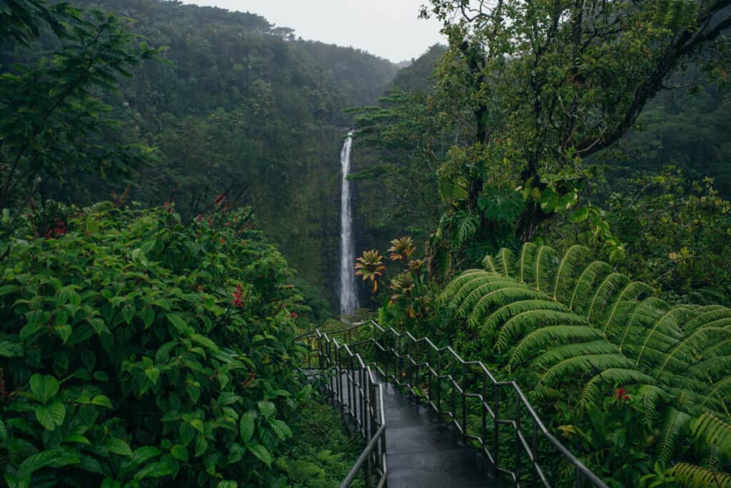 Akaka Falls Loop Trail on the Big Island of Hawaii